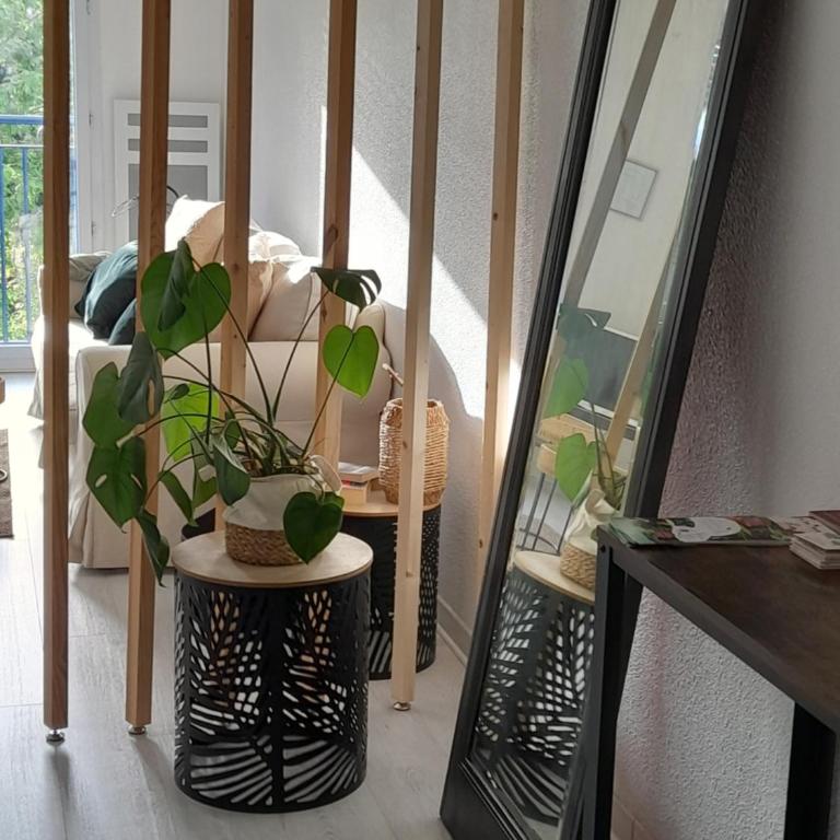 Perigueux T2 proche du quartier historique - One-Bedroom Apartment - 11