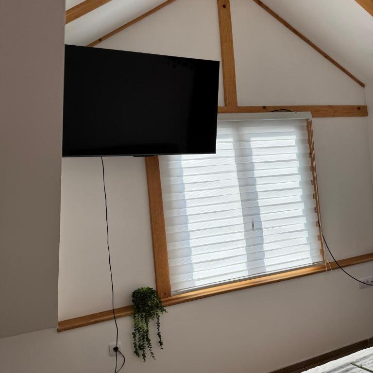 Viktor Lux Apartmani - Deluks Apartman sa 2 Spavaće Sobe i Balkonom - 6