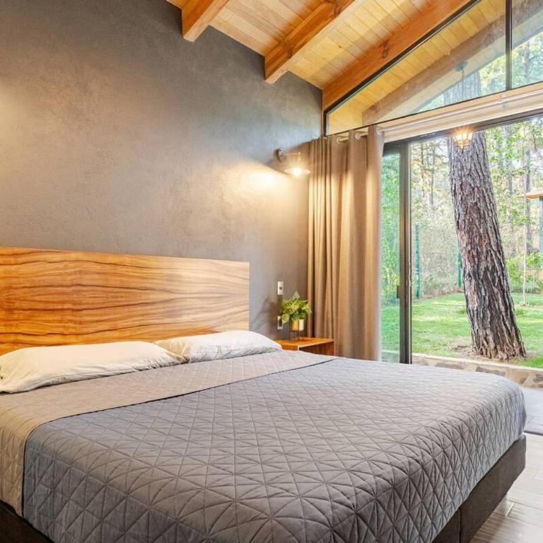 Cabaña de Lujo Para 4 Personas Dentro del Bosque - Two-Bedroom Chalet - 9