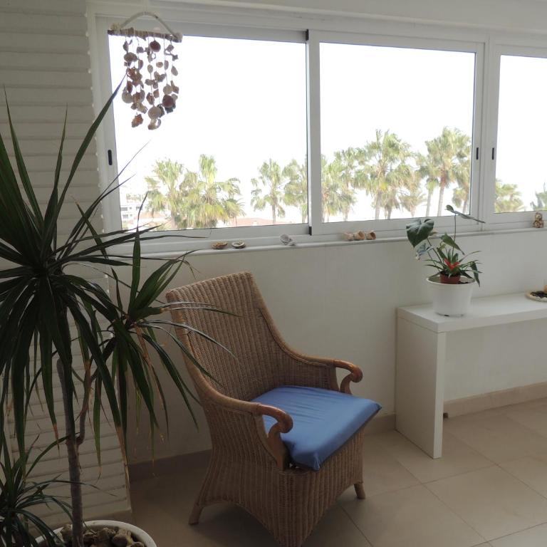 Frente a playa de arena - Apartamento - 10