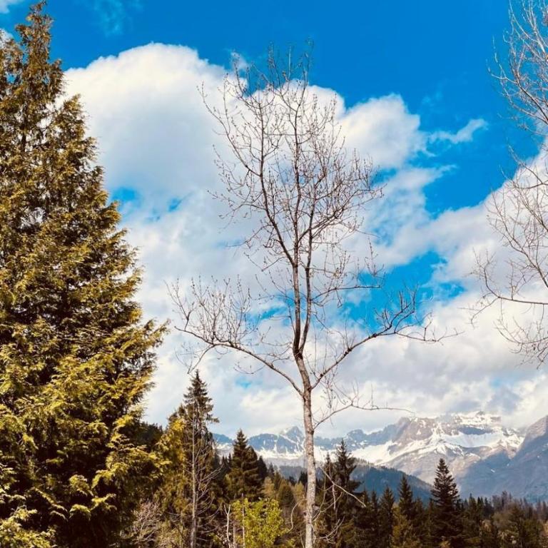 Ecrin cosy, calme, terrasse, nature et MontBlanc - Studio - 30