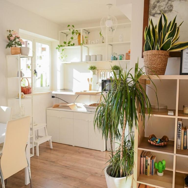 White Lotus - Apartment mit 1 Schlafzimmer und Terrasse - 6