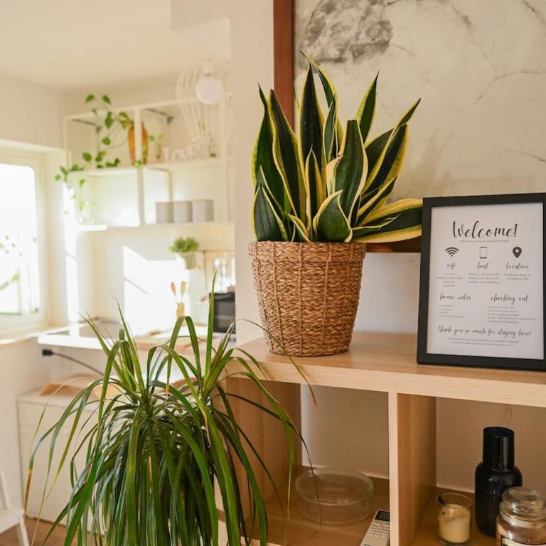 White Lotus - Apartment mit 1 Schlafzimmer und Terrasse - 8