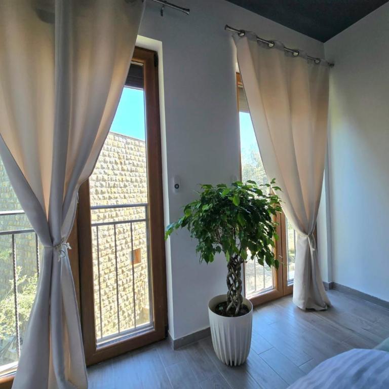 La Pietra Petrovac - Apartman sa 1 Spavaćom Sobom - 17