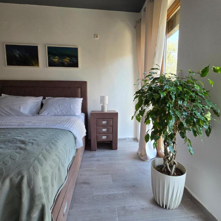 La Pietra Petrovac - Apartman sa 1 Spavaćom Sobom - 15