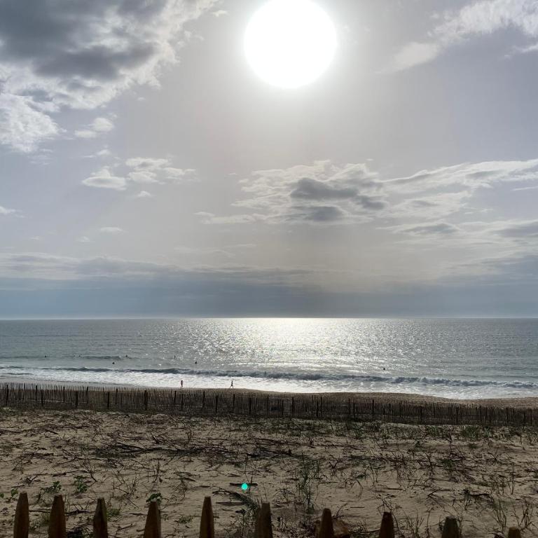 Appartement rez-de-chaussée entre dunes et ocean - Apartment mit 1 Schlafzimmer - 22