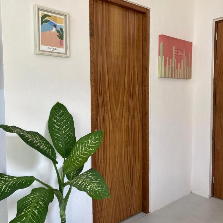 Chan Studio Tulum - Apartamento de 1 dormitorio - 7