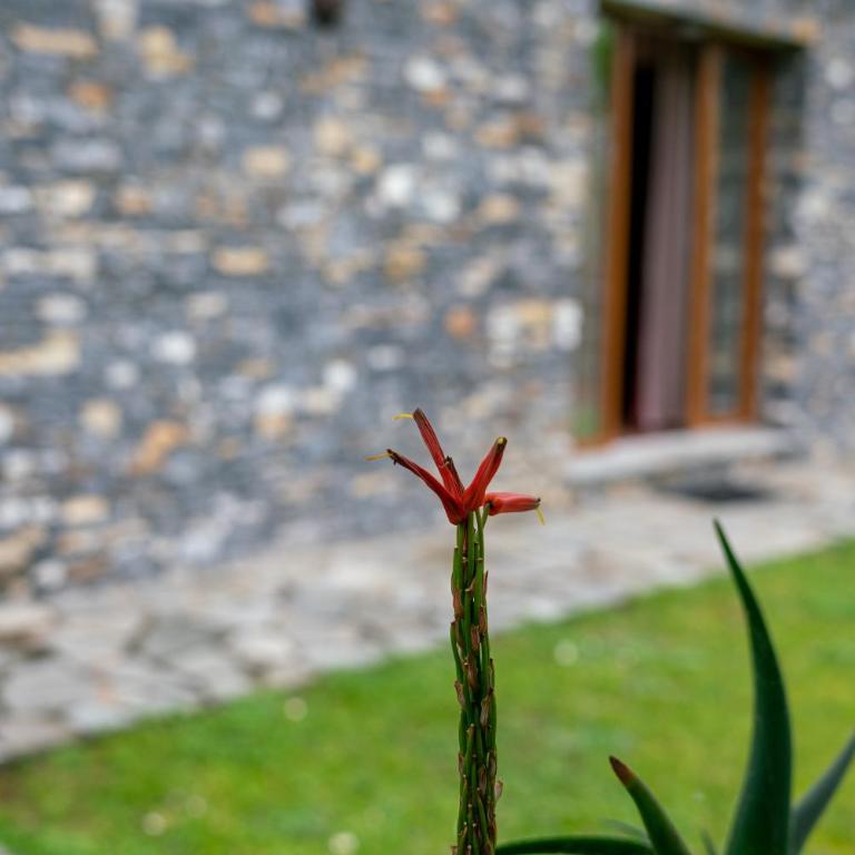 Collina e mare - Casa Vacanze - 41