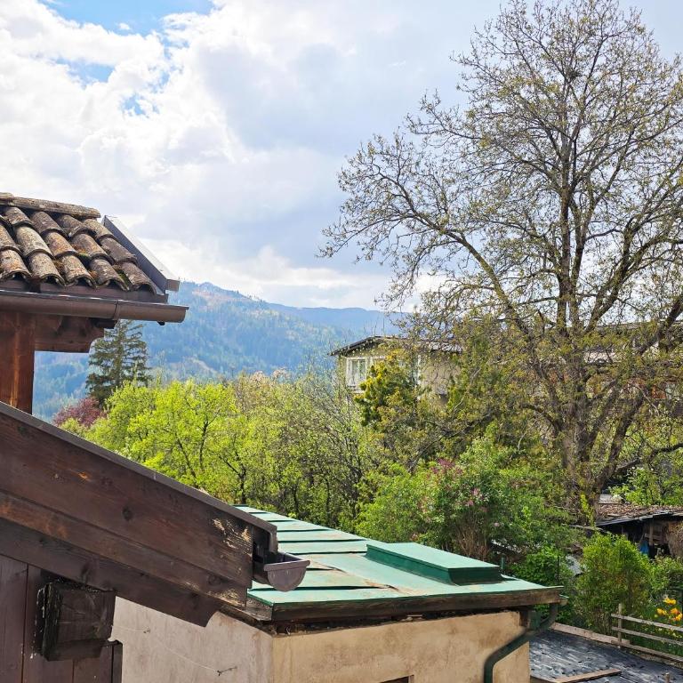 Tina's House - Alpine Stay Apartments - Appartamento con 2 Camere da Letto - 16