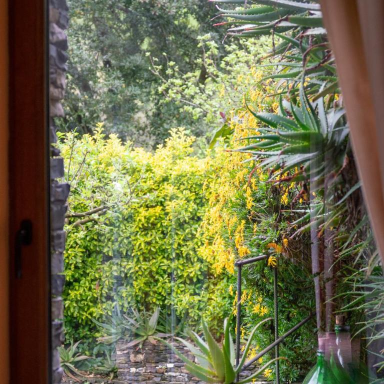 Collina e mare - Casa Vacanze - 44
