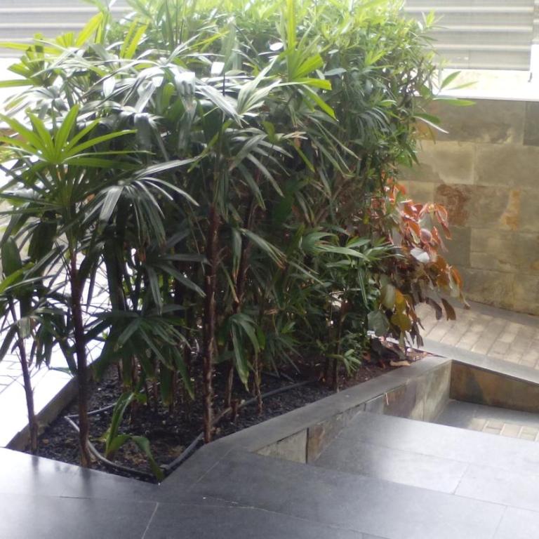 piso 2 dormitorios Sol del Sur - Apartamento de 1 dormitorio - 32