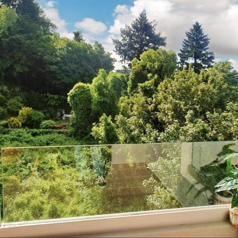 Espectacular y lindisimo departamento frente al lago de Puerto Varas - Apartamento de 2 dormitorios - 59