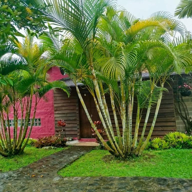 Jardín Utopía - Habitación Doble - 4