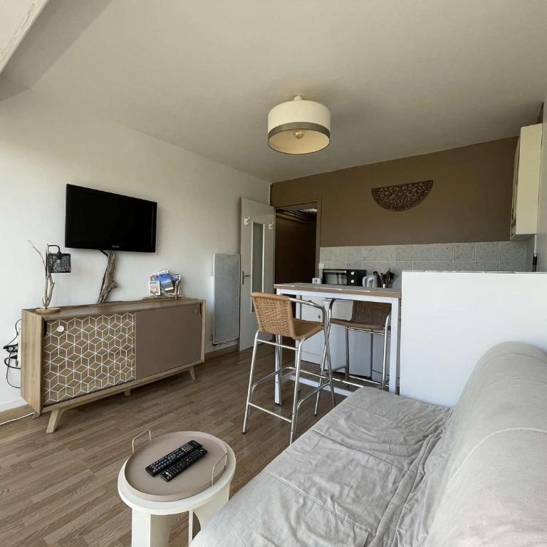 Studio Cabine - Accès Plage - Ascenseur - Parking - FR-1-308-207 - Monolocale - 3