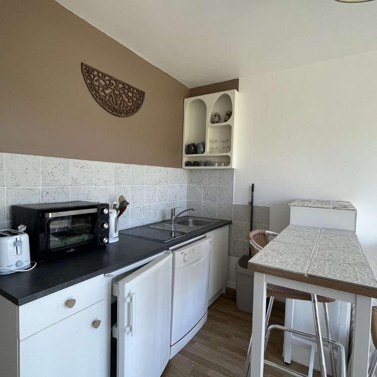 Studio Cabine - Accès Plage - Ascenseur - Parking - FR-1-308-207 - Monolocale - 5
