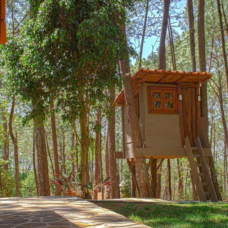 Chateaux de mi Sierra Encantada - Cabaña privada y acogedora de 3 habitaciones en Mazamitla, Jal para 10-13 Personas - Casa de 3 dormitorios - 43