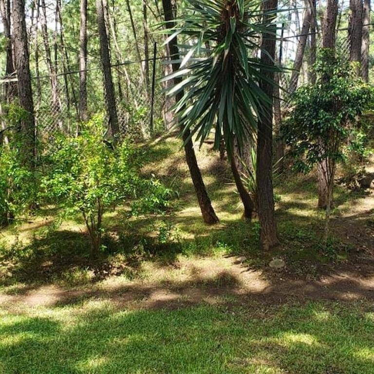Chateaux de mi Sierra Encantada - Cabaña privada y acogedora de 3 habitaciones en Mazamitla, Jal para 10-13 Personas - Casa de 3 dormitorios - 40