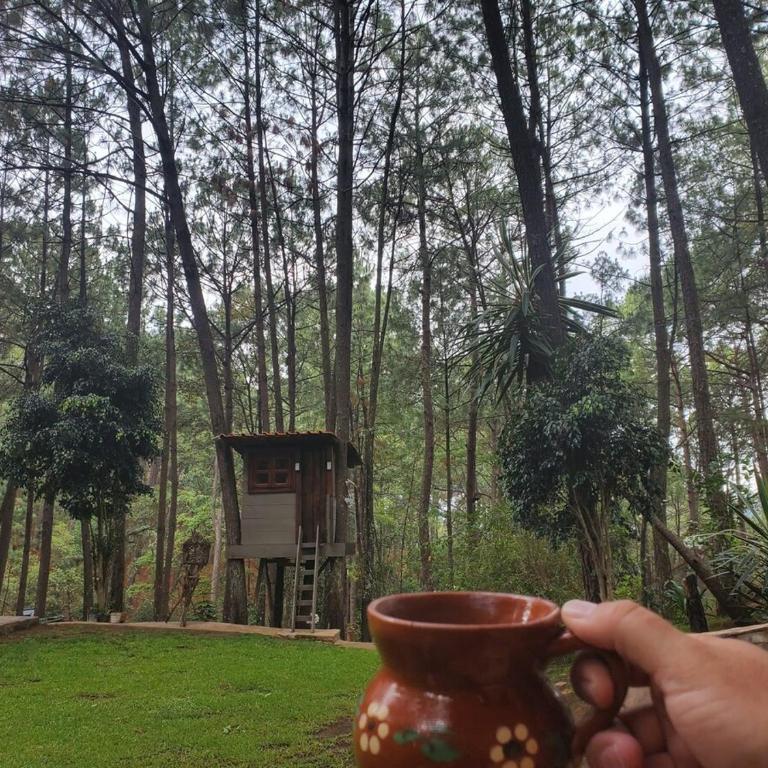 Chateaux de mi Sierra Encantada - Cabaña privada y acogedora de 3 habitaciones en Mazamitla, Jal para 10-13 Personas - Casa de 3 dormitorios - 41