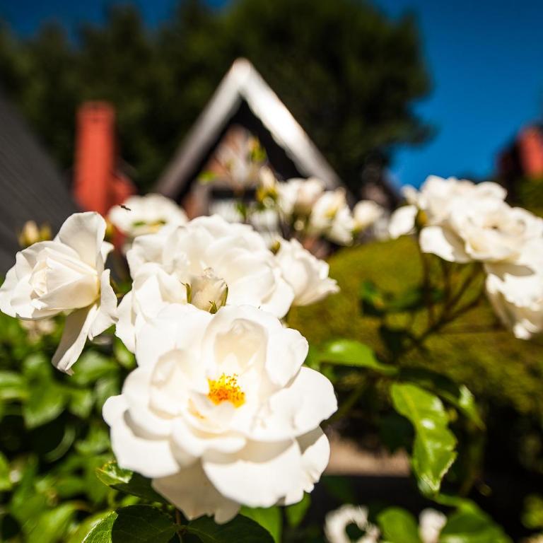 Cabañas Antilhue - Chalet - 27