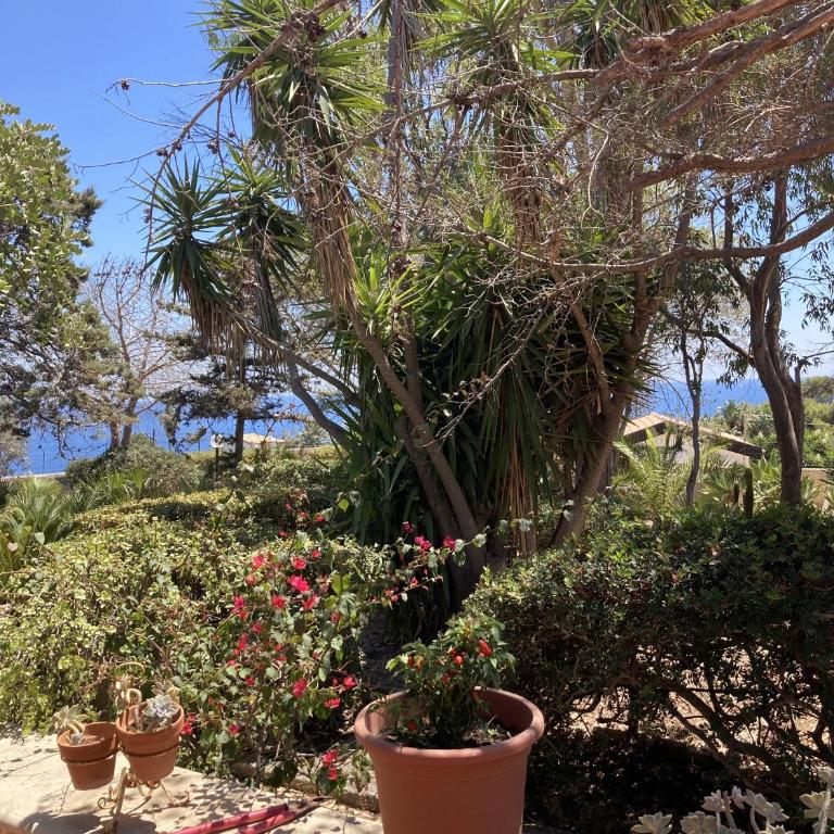 villa smeraldi - Villa con 3 Camere da Letto - 51