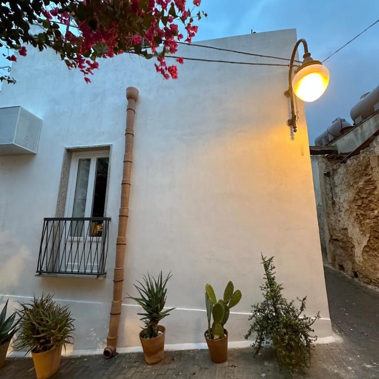Noto caprifoglio new house with two terraces - Casa con 2 Camere da Letto - 2