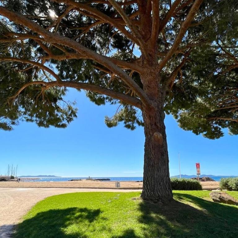 Isles Évasion-parking-100M plages-commerces - Appartement 1 Chambre - 1