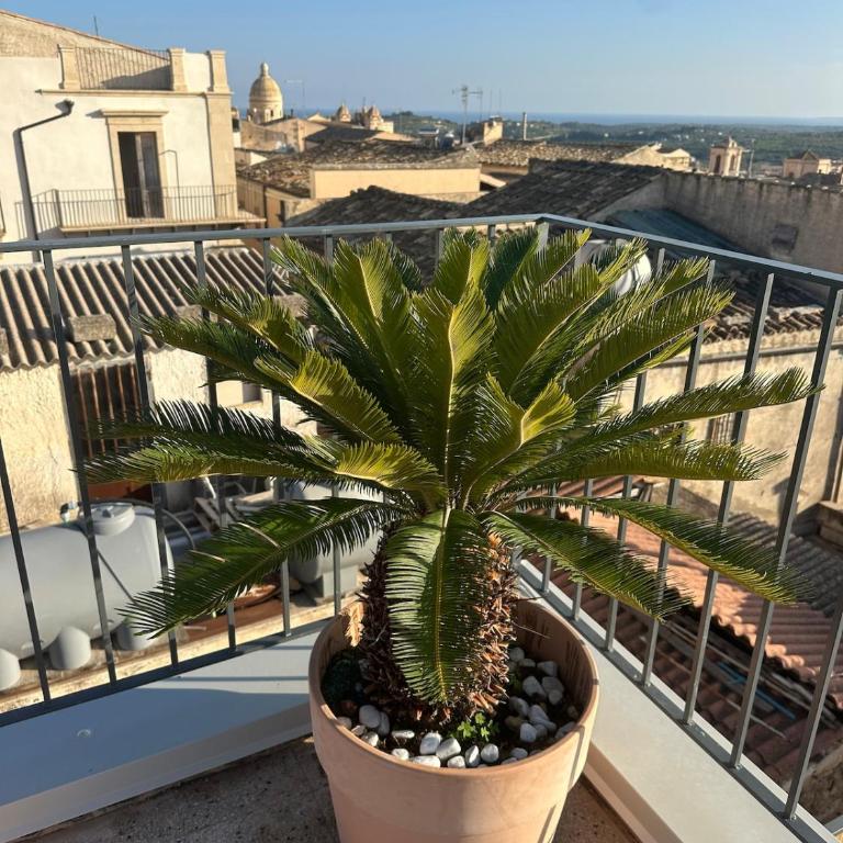 Noto caprifoglio new house with two terraces - Casa con 2 Camere da Letto - 56