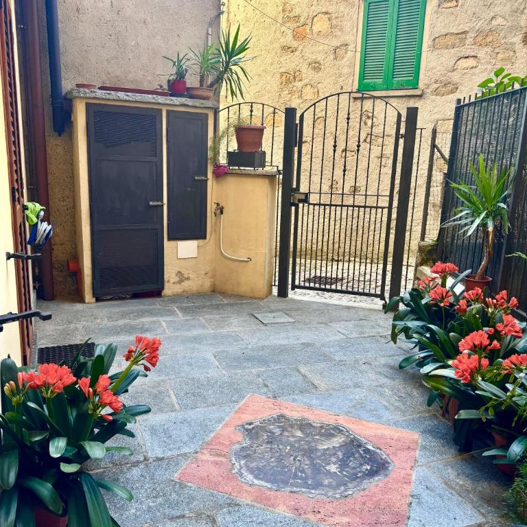 Appartamento Clivia - One-Bedroom Apartment - 13