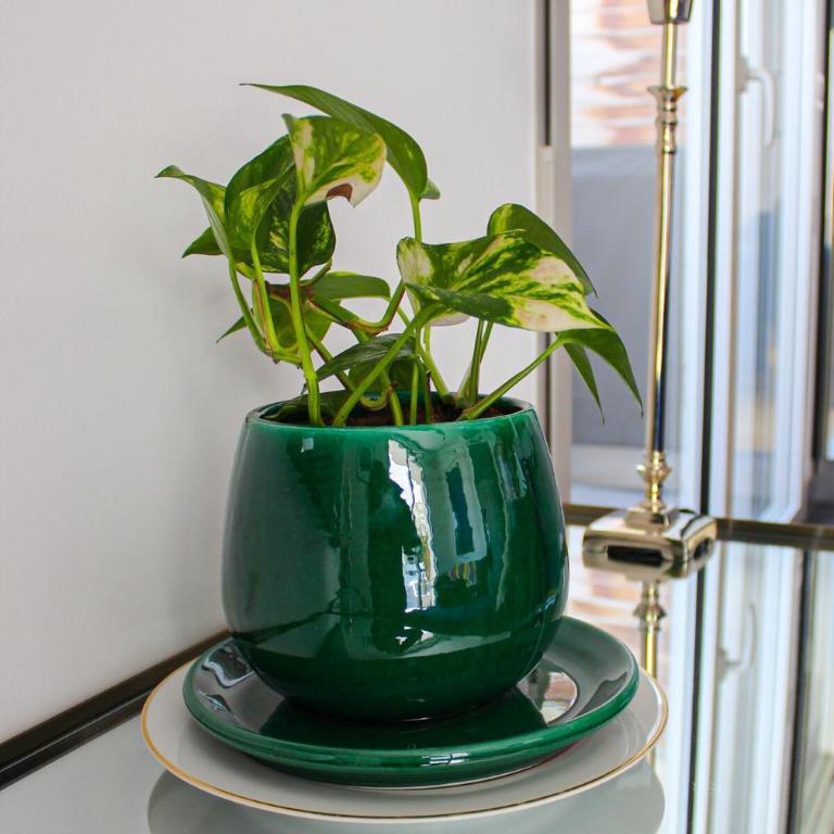 Spacious Duplex with Terrace City Center - Appartement 1 Chambre - 8