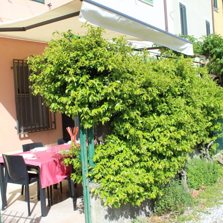 La casetta di Corte Marchi - Casa Vacanze - 42