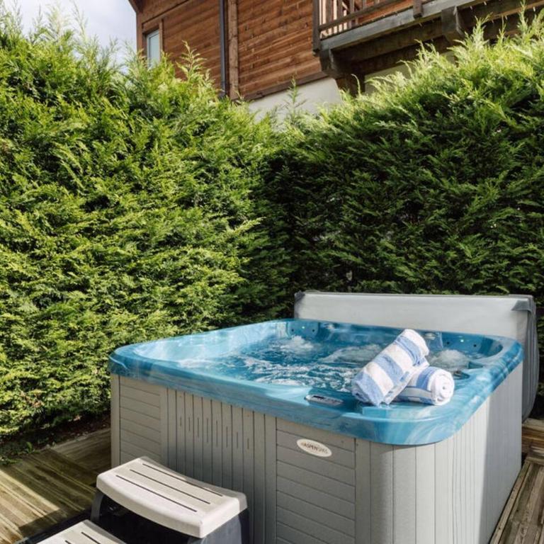 Apartment Terrasse Du Soleil in Morzine Central - Apartment - 12