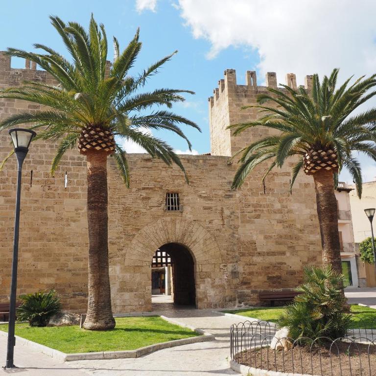 Alcudia Boutique Apartments - Apartamento de 1 dormitorio - 4