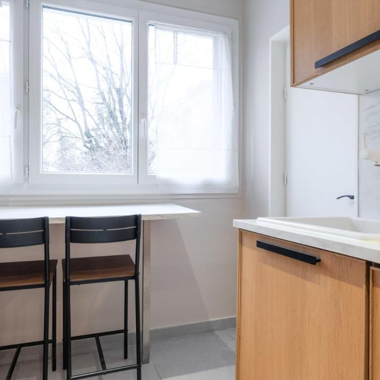 Spacious flat 5P - 3BDR with balcony Boulogne Billancourt - Appartement - 24