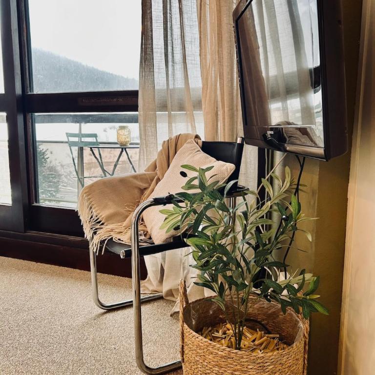 Cocon vue montagne - Appartamento con 1 Camera da Letto - 16