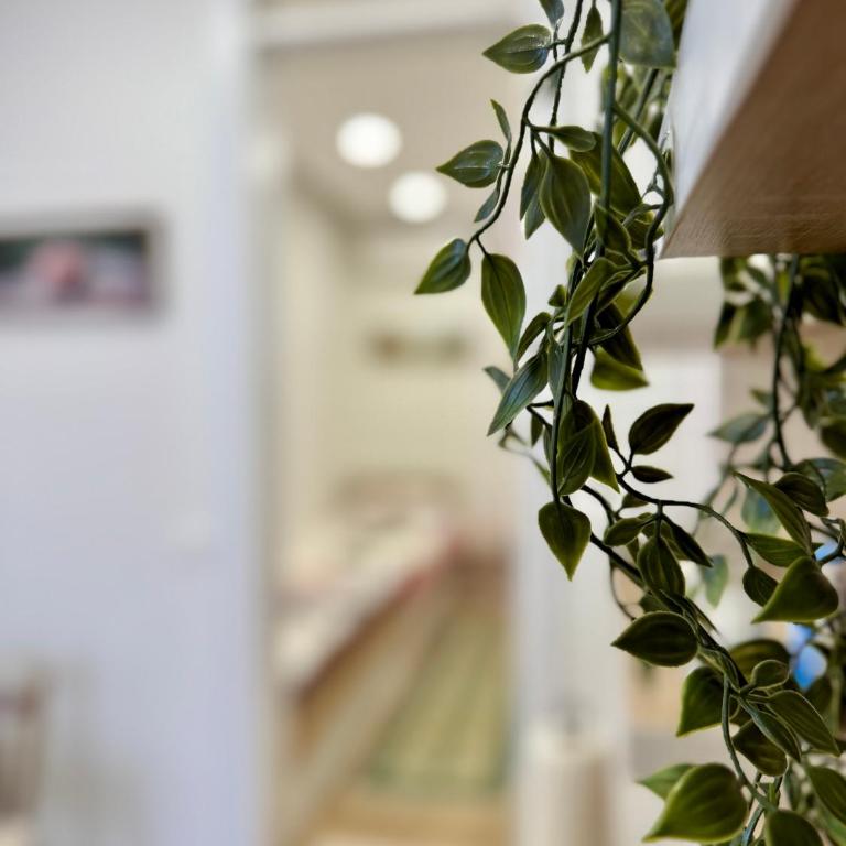 Apartman Potoklinica - Apartman - 3
