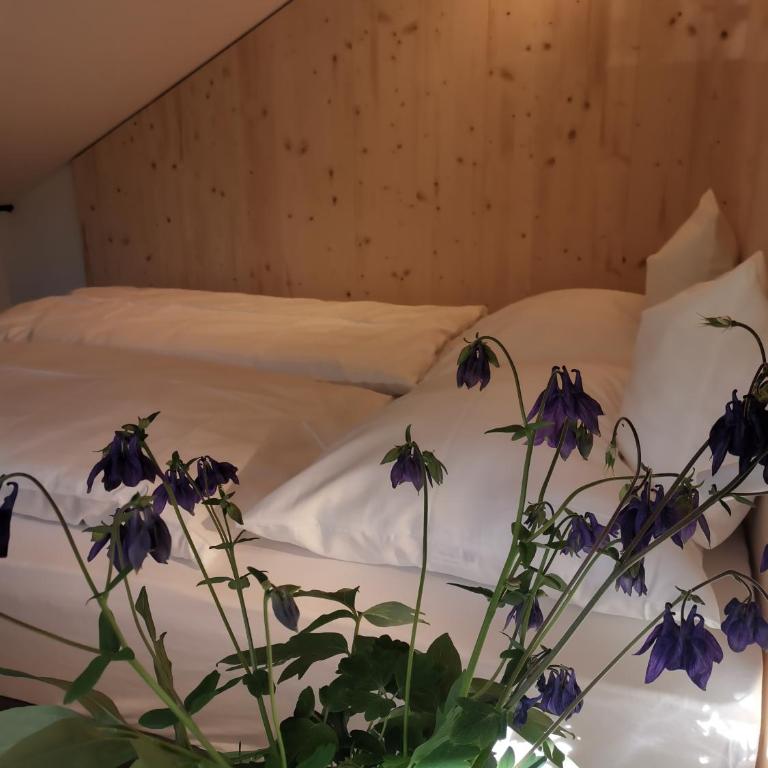 Ansitz Grustdorf - Appartamento con Vista Montagna - 6