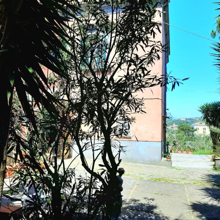 The Sirens' Refuge - Appartamento con Vista Mare - 39