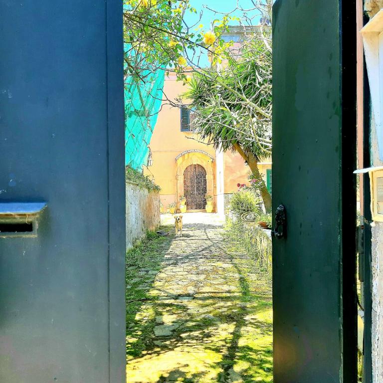 The Sirens' Refuge - Appartamento con Vista Mare - 29