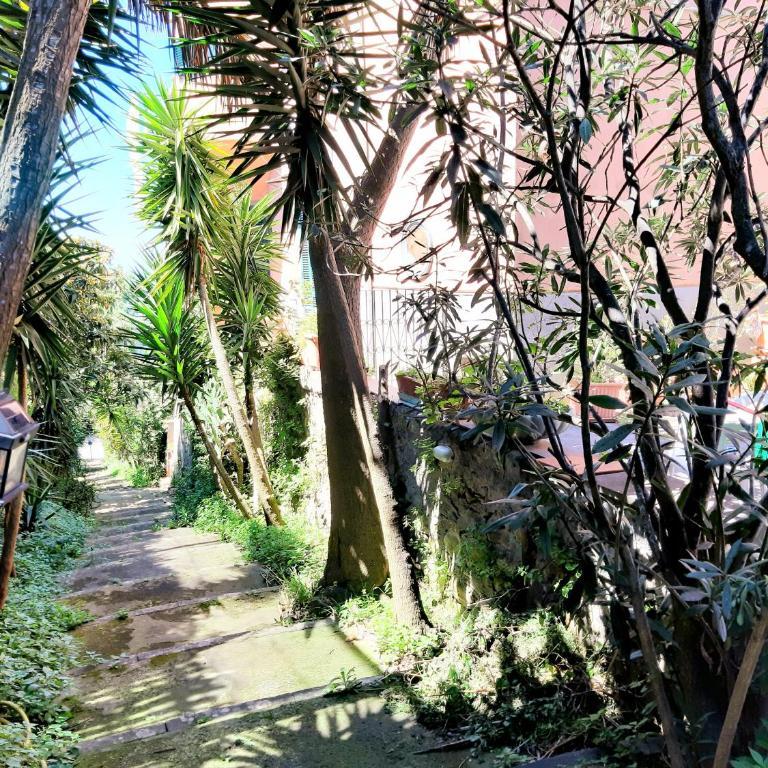 The Sirens' Refuge - Appartamento con Vista Mare - 42