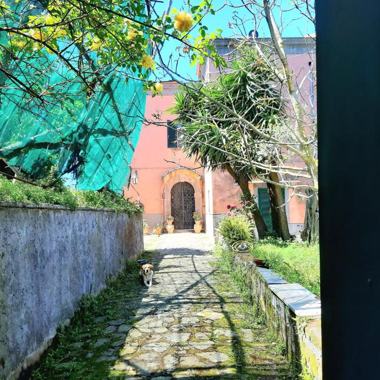 The Sirens' Refuge - Appartamento con Vista Mare - 28
