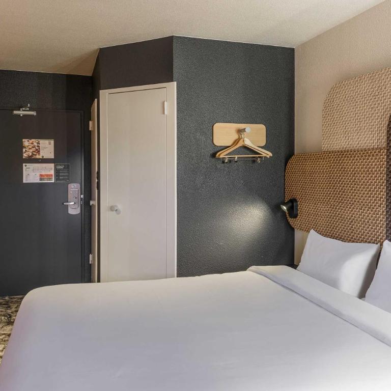 B&B HOTEL Toulouse Cité de l'Espace Hurel - Chambre Double - 1