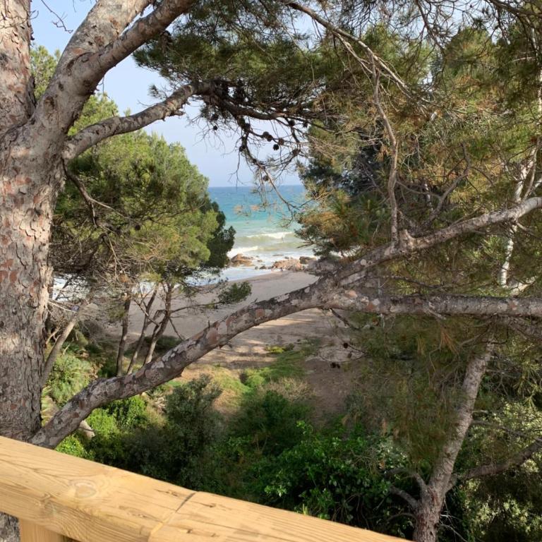 Apartamento acogedor en zona de las Calas con AC, WiFi y piscina - Apartamento de 2 dormitorios - 41
