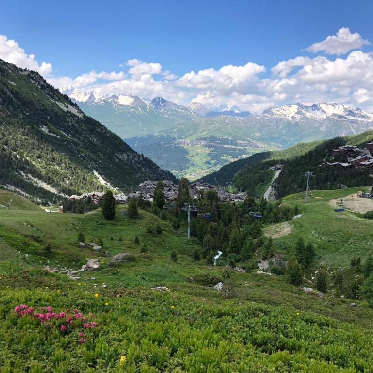 Le Refuge d'Elyze, Ski-In Ski-Out - Appartement 1 Chambre - 39