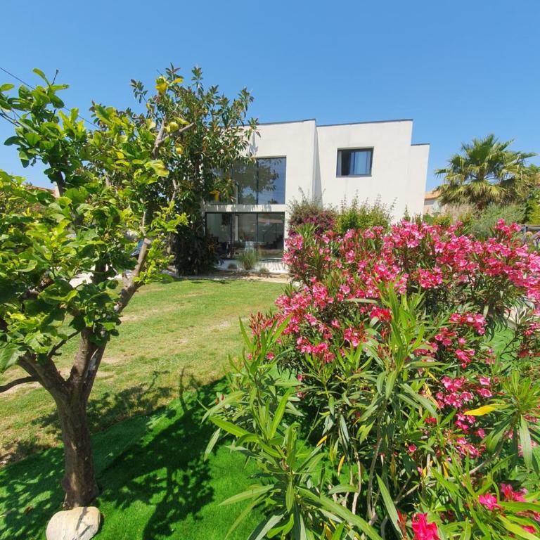 Le diamant de la presqu'île de Giens piscine - Villa - 21