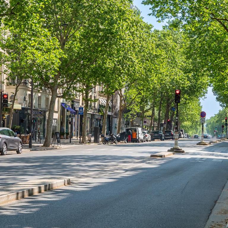 Louvre l Souplex à 15min du Jardin du Luxembourg - Appartement 1 Chambre avec Terrasse - 22