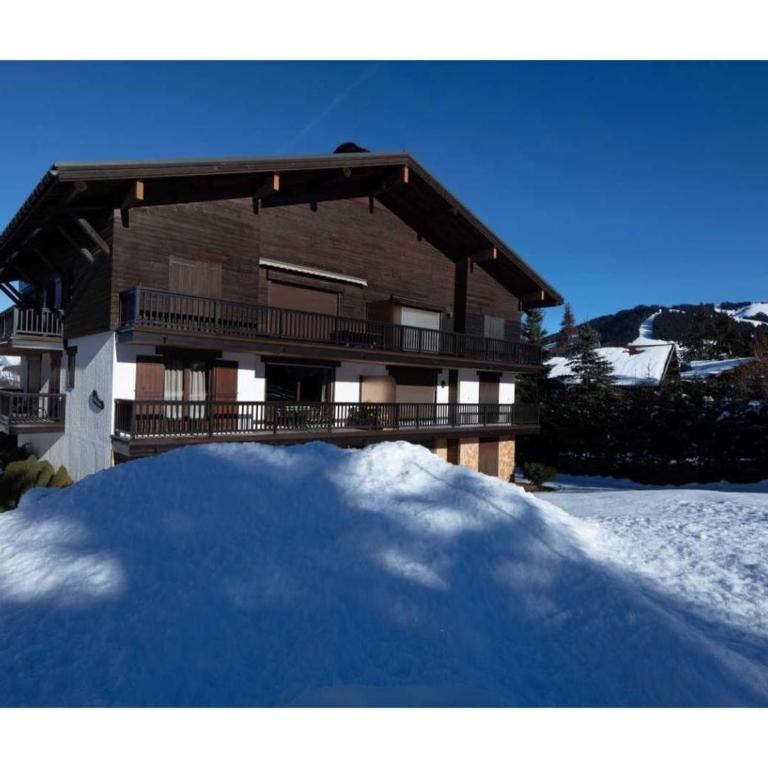 Modern 2 bedroom apartment, close to ski lifts - Apartment - 3