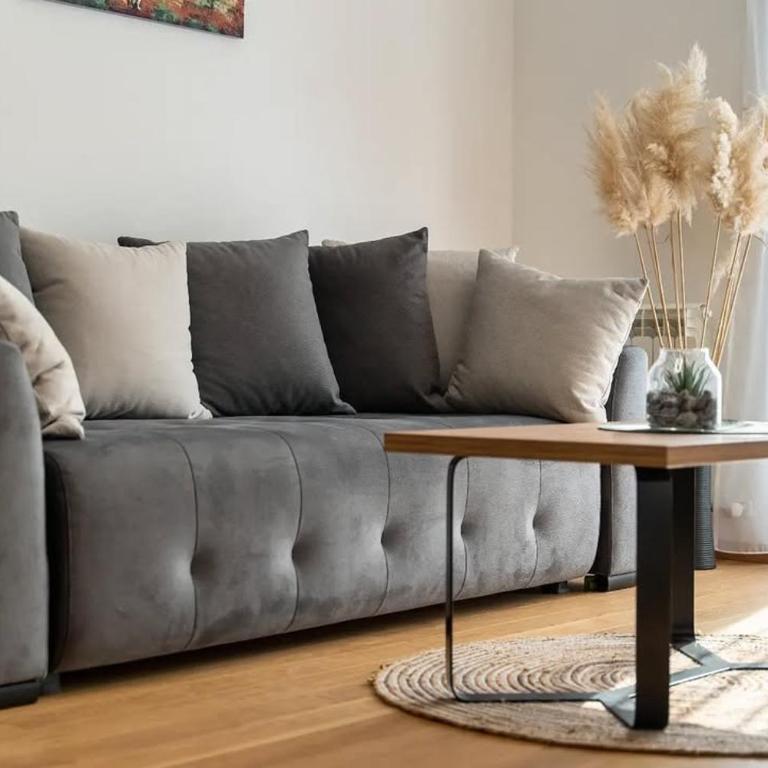 Vila Anastasija Zlatibor - One-Bedroom Apartment with Terrace - 3