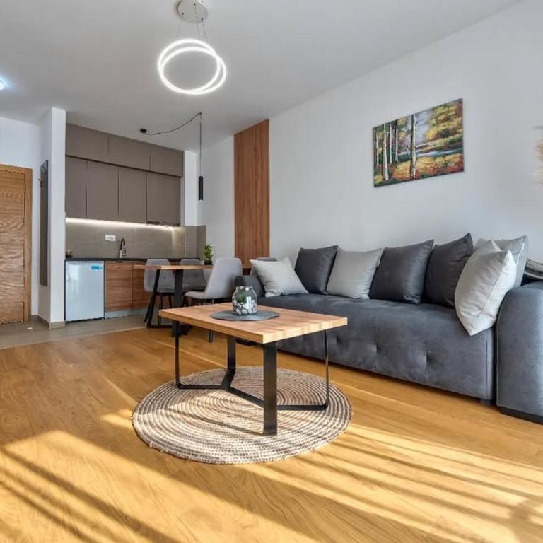 Vila Anastasija Zlatibor - One-Bedroom Apartment with Terrace - 11