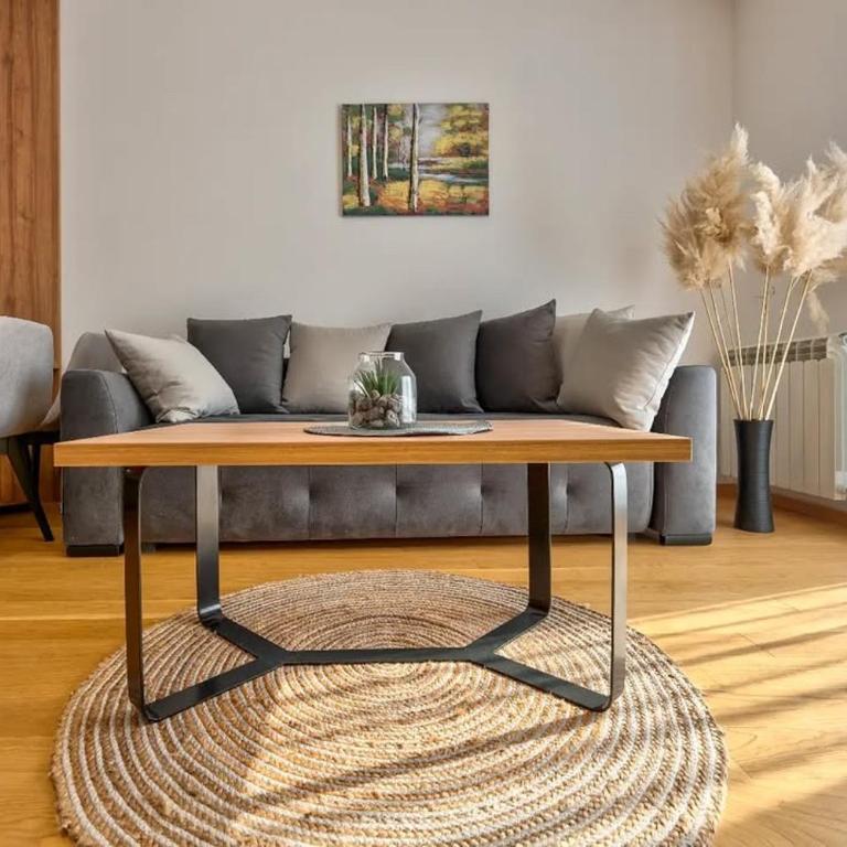 Vila Anastasija Zlatibor - One-Bedroom Apartment with Terrace - 14