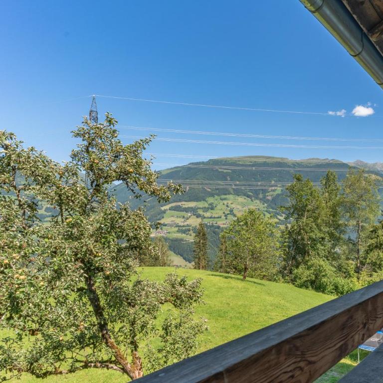 Wieshof - Apartamento con 4 dormitorios - 29